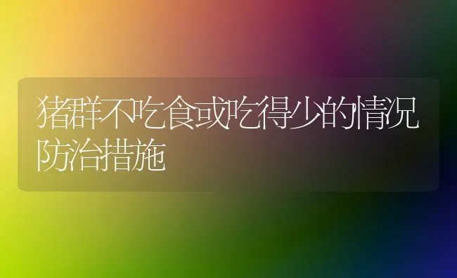 猪群不吃食或吃得少的情况防治措施 | 家畜养殖