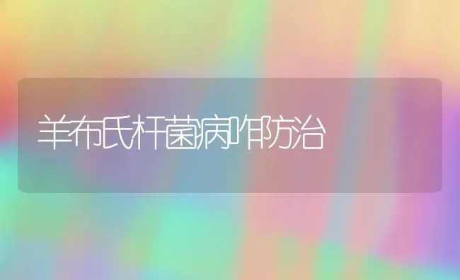 羊布氏杆菌病咋防治 | 家畜养殖
