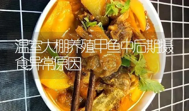 温室大棚养殖甲鱼中后期摄食异常原因 | 淡水养殖