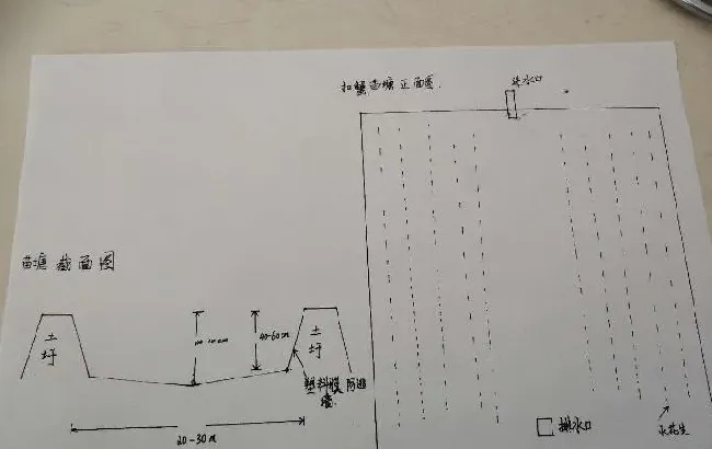 环沟塘和平底塘，用这两种苗塘培育蟹苗，分别有哪些优缺点？