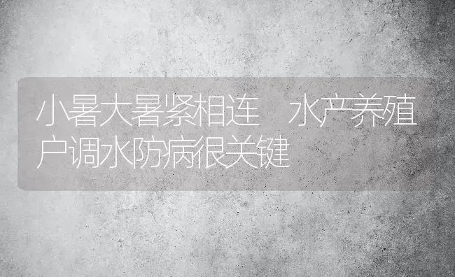 小暑大暑紧相连 水产养殖户调水防病很关键 | 动物养殖百科
