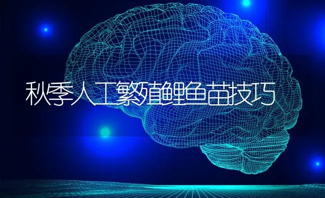 秋季人工繁殖鲤鱼苗技巧 | 淡水养殖