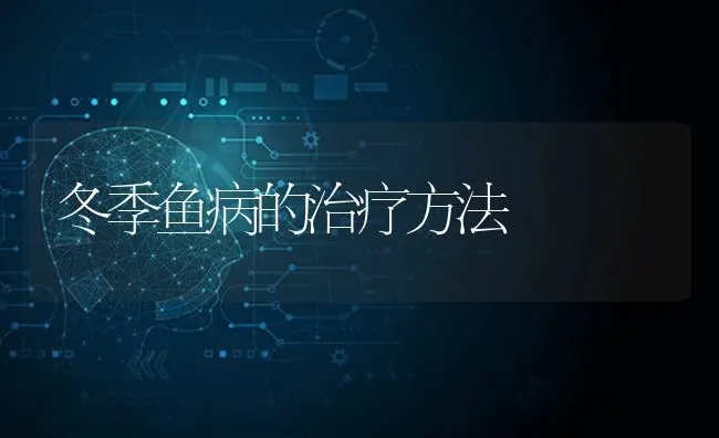 冬季鱼病的治疗方法 | 淡水养殖