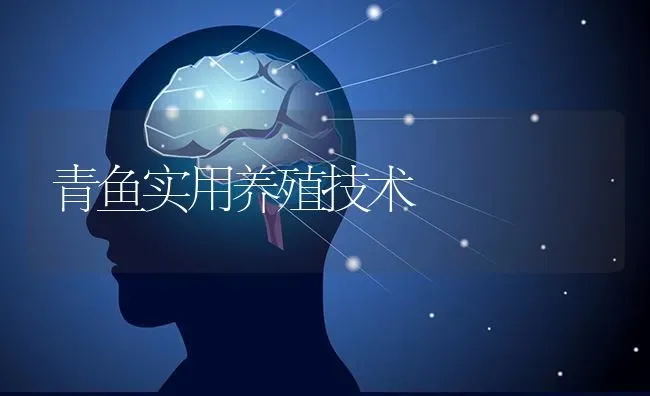 青鱼实用养殖技术 | 淡水养殖