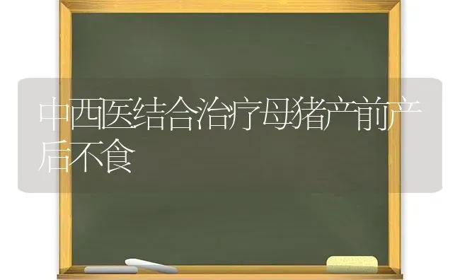 中西医结合治疗母猪产前产后不食 | 家畜养殖