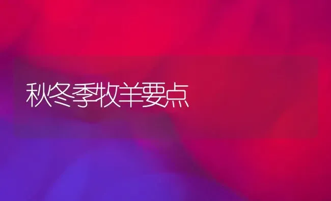秋冬季牧羊要点 | 家畜养殖