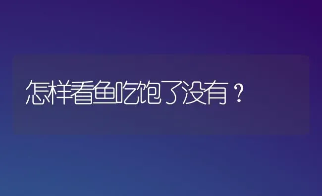 怎样看鱼吃饱了没有？ | 淡水养殖