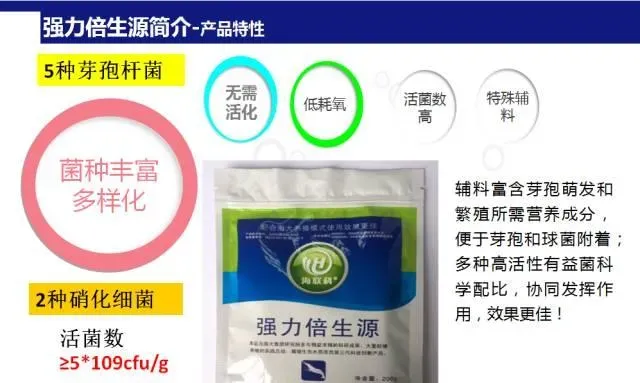 “强力倍生源+益水光合素”组合强效处理高密度对虾养殖塘不良水质