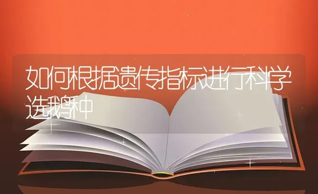 如何根据遗传指标进行科学选鹅种 | 家禽养殖