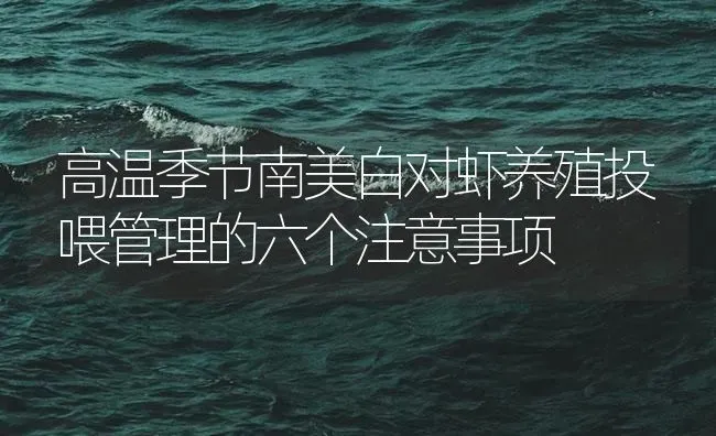 高温季节南美白对虾养殖投喂管理的六个注意事项 | 海水养殖