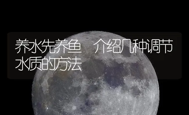 养水先养鱼 介绍几种调节水质的方法 | 动物养殖百科