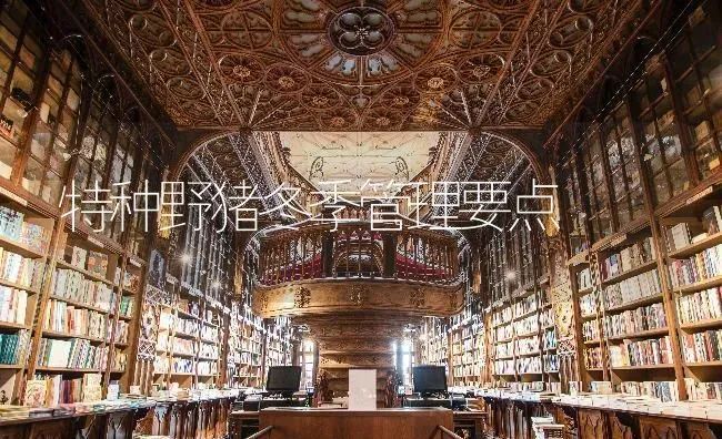 特种野猪冬季管理要点 | 家畜养殖