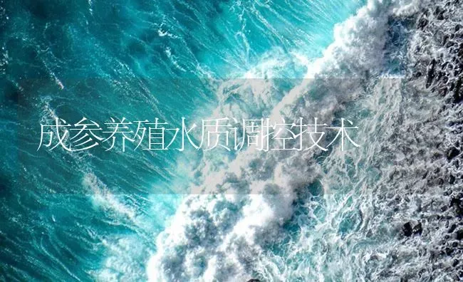 成参养殖水质调控技术 | 海水养殖