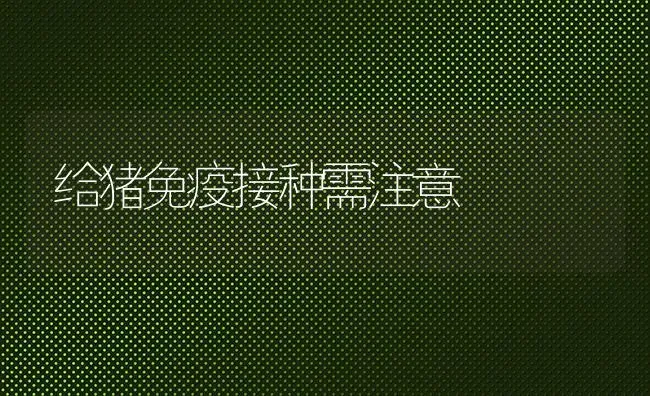给猪免疫接种需注意 | 家畜养殖