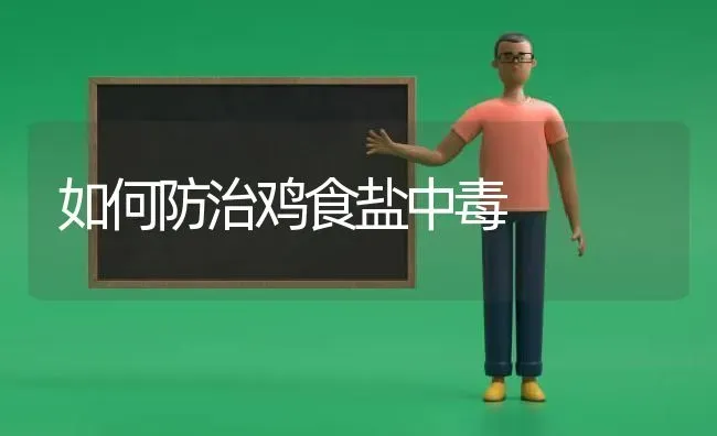 如何防治鸡食盐中毒 | 家禽养殖