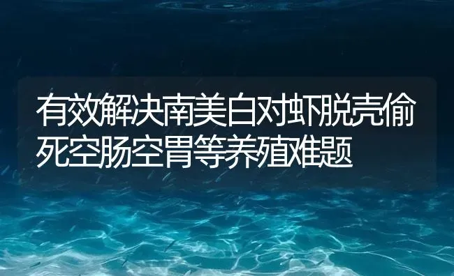 有效解决南美白对虾脱壳偷死空肠空胃等养殖难题 | 海水养殖