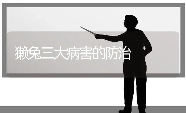 獭兔三大病害的防治 | 家畜养殖