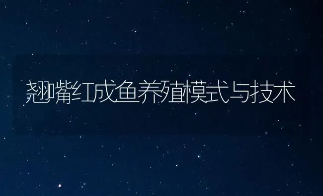 翘嘴红成鱼养殖模式与技术 | 淡水养殖