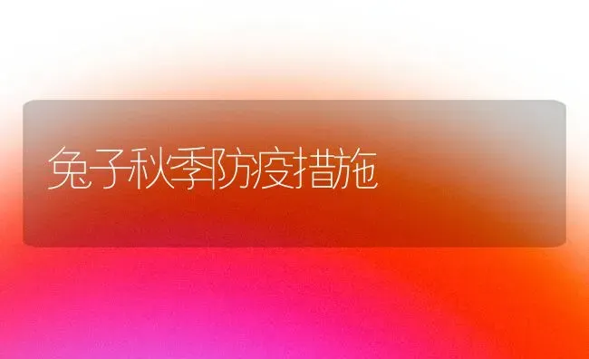 兔子秋季防疫措施 | 家畜养殖