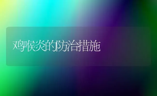 鸡喉炎的防治措施 | 家禽养殖