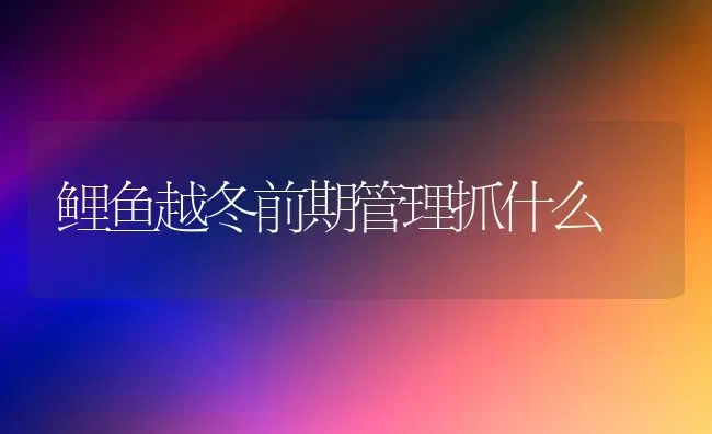 鲤鱼越冬前期管理抓什么 | 淡水养殖