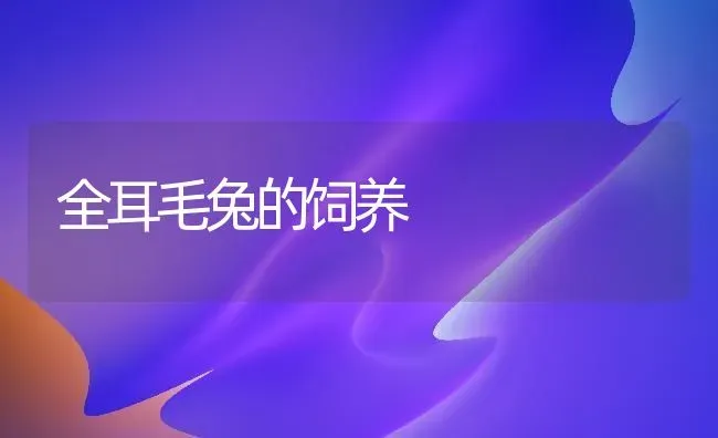 全耳毛兔的饲养 | 家畜养殖