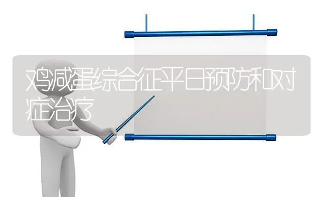 鸡减蛋综合征平日预防和对症治疗 | 家禽养殖
