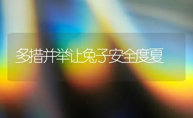多措并举让兔子安全度夏 | 家畜养殖