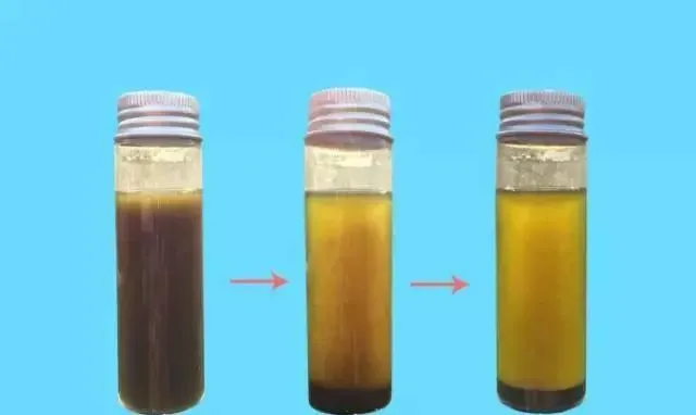 水产养殖户如何辨别优质乳酸菌和光合菌