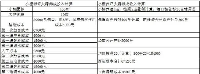 小棚标粗+露天塘养对虾，一年四造，亩盈利轻松超万元