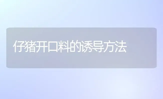 仔猪开口料的诱导方法 | 家畜养殖