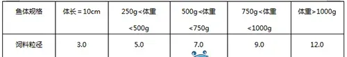 大口鲶饲料选择与投喂管理