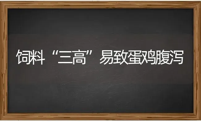 饲料“三高”易致蛋鸡腹泻 | 家禽养殖