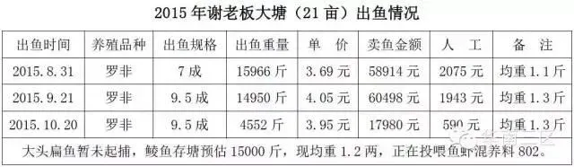 罗大优传奇•恩平篇：高效模式+罗大优 低迷行情下盈利不减