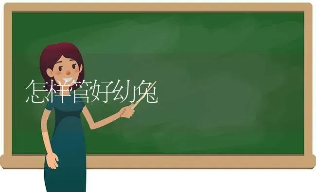 怎样管好幼兔 | 家畜养殖