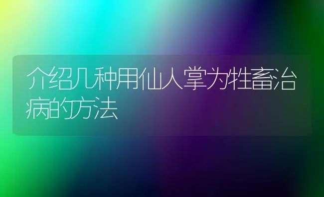 介绍几种用仙人掌为牲畜治病的方法 | 家畜养殖