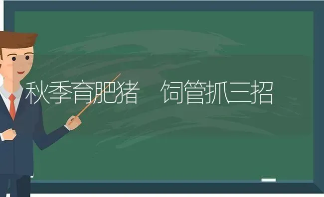 秋季育肥猪 饲管抓三招 | 家畜养殖