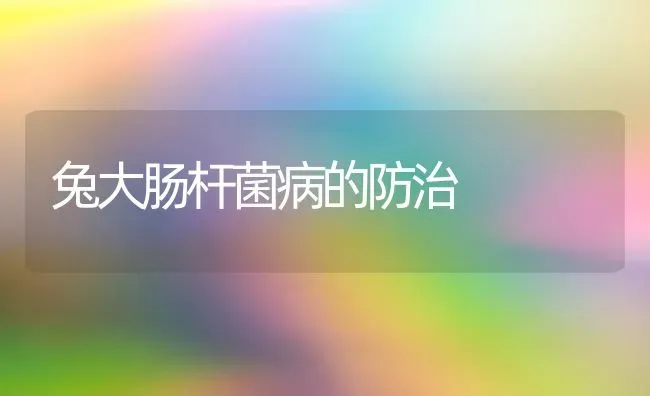 兔大肠杆菌病的防治 | 家畜养殖