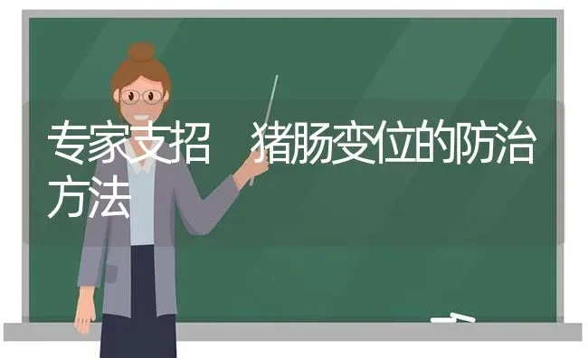 专家支招 猪肠变位的防治方法 | 家畜养殖