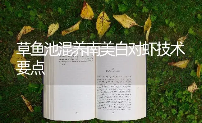 草鱼池混养南美白对虾技术要点 | 淡水养殖