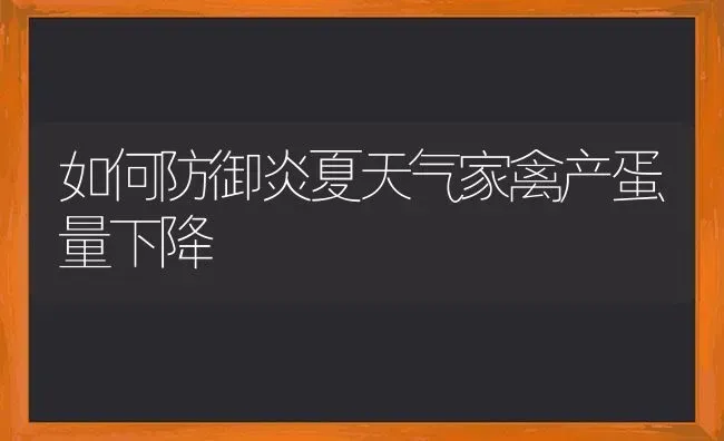 如何防御炎夏天气家禽产蛋量下降 | 家禽养殖