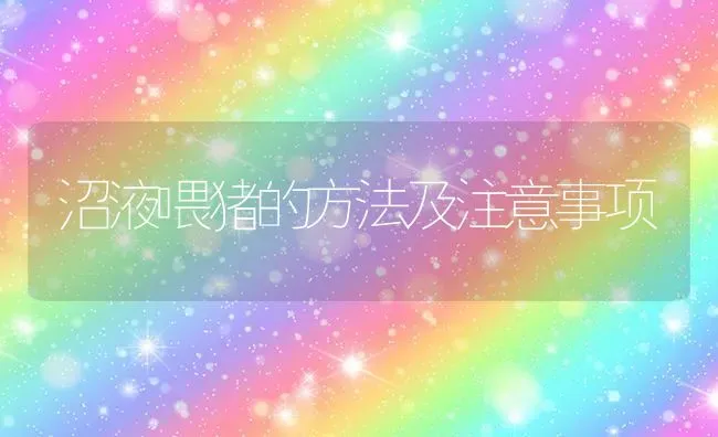 沼液喂猪的方法及注意事项 | 家畜养殖