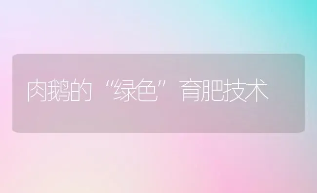 肉鹅的“绿色”育肥技术 | 家禽养殖