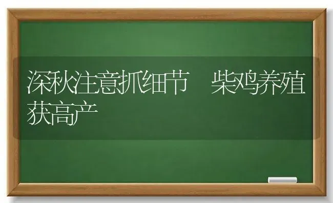 深秋注意抓细节 柴鸡养殖获高产 | 家禽养殖