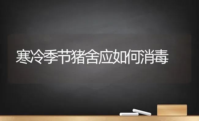 寒冷季节猪舍应如何消毒 | 家畜养殖