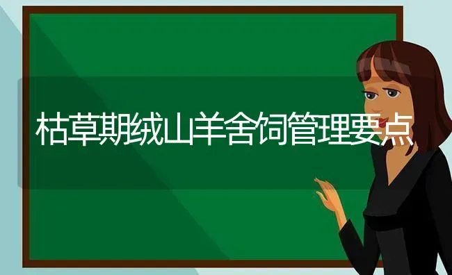 枯草期绒山羊舍饲管理要点 | 家畜养殖