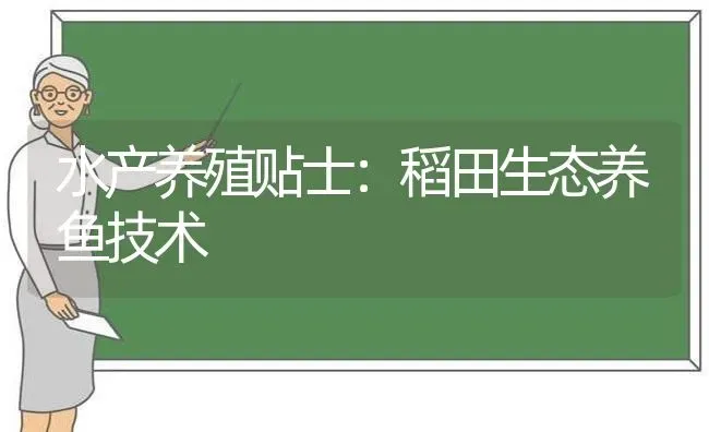 水产养殖贴士：稻田生态养鱼技术 | 动物养殖百科