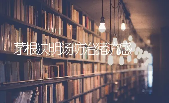 茅根决明汤防治猪流感 | 家畜养殖