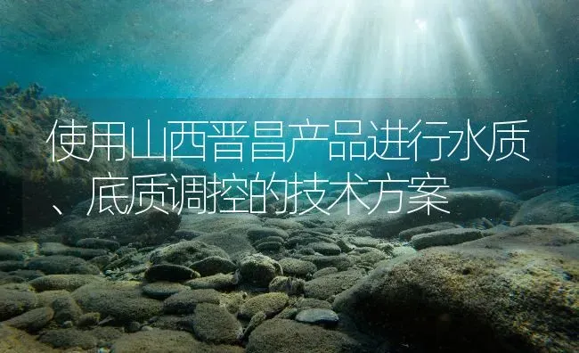 使用山西晋昌产品进行水质、底质调控的技术方案 | 动物养殖百科