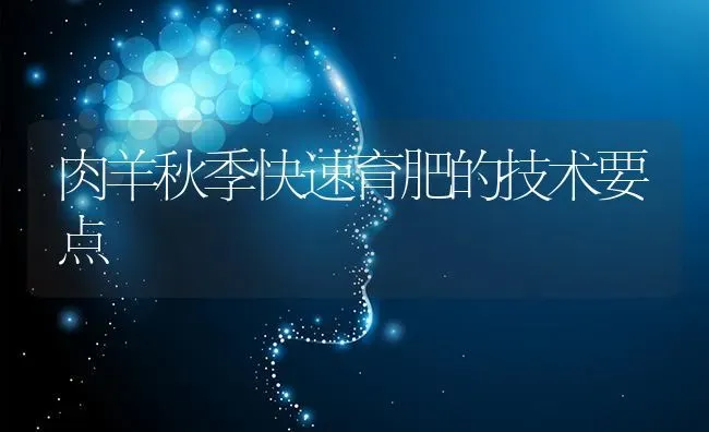 肉羊秋季快速育肥的技术要点 | 家畜养殖